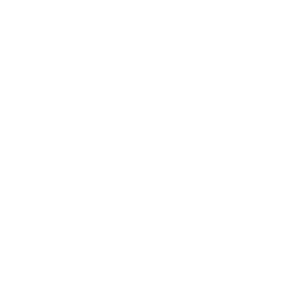 ce logo Nizhny Novgorod